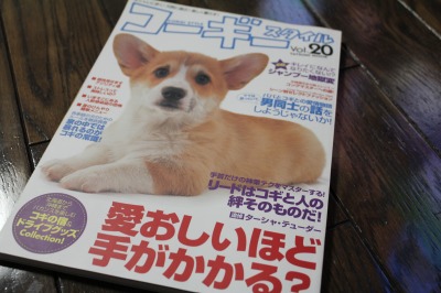 コーギー専門誌を買ってみたｗ