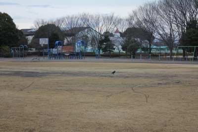 moca 運動公園散歩